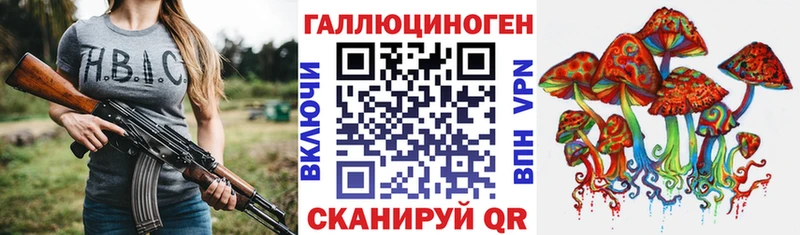 купить наркотики цена  Осинники  Галлюциногенные грибы Psilocybe 