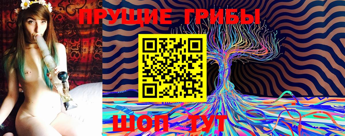 Псилоцибиновые грибы ЛСД Осинники