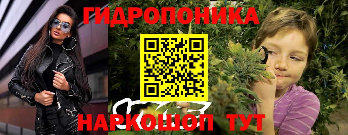 Конопля семена Осинники